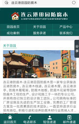 wap端网站展示